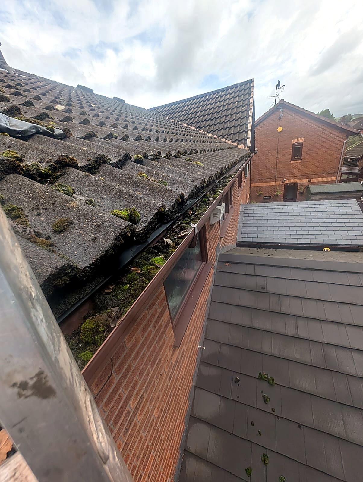 House gutter overgrown with thick moss before moss and debris removal in Bury, Greater Manchester